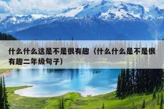 什么什么这是不是很有趣（什么什么是不是很有