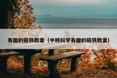 有趣的磁铁教案（中班科学有趣的磁铁教案）