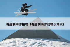 有趣的海洋植物（有趣的海洋动物小知识）