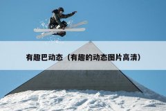 有趣巴动态（有趣的动态图片高清）